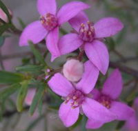 Self Drive Geology and Nature Trails - Accommodation Bookings