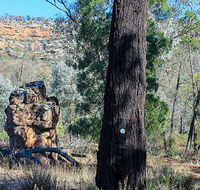 Eualdrie walking track - Accommodation Bookings
