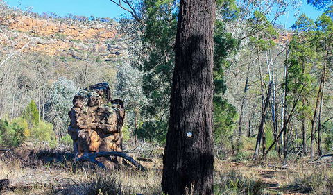 Eualdrie Walking Track - Accommodation Bookings 0