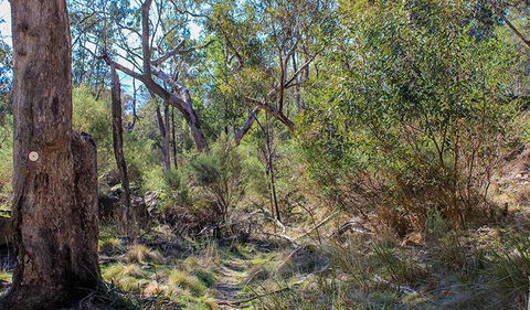 Eualdrie Walking Track - Accommodation Bookings 1