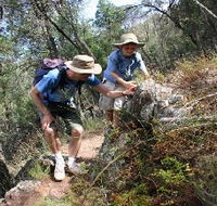 Mount Arthur Reserve - Accommodation Bookings