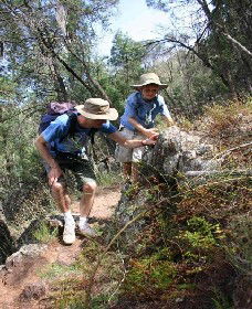 Mount Arthur Reserve - Accommodation Bookings 0