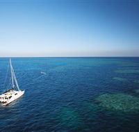 Bait Reef and Garys Lagoon Dive Site - Accommodation Bookings