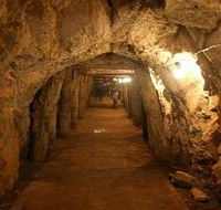 Wellington Caves and Phosphate Mine - Accommodation Bookings