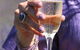 Yuulong Lavender Estate - thumb 4