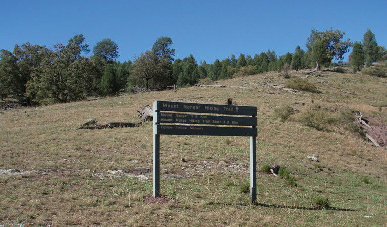 Eugowra NSW Accommodation Bookings