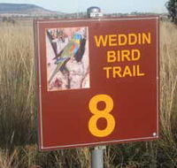 Weddin Bird Trails - Accommodation Bookings