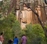 Sawn Rocks walking track - Accommodation Bookings