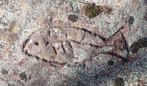 Terry Hie Hie Aboriginal Area - Accommodation Bookings 3