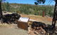 Wagun Picnic Area - thumb 3