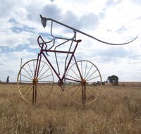 Animals on Bikes - Accommodation Bookings
