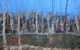 Gallery Blackheath - thumb 1