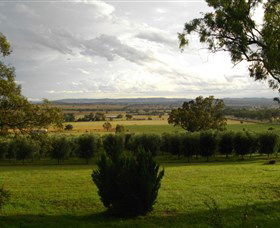 Wollundry Grove Olives - Accommodation Bookings 1