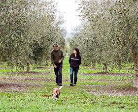 Wollundry Grove Olives - Accommodation Bookings 3
