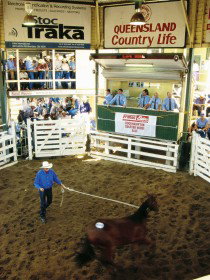 Gracemere QLD Accommodation Bookings