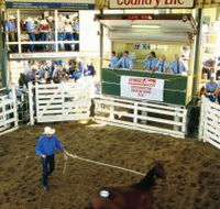 Gracemere Exhibition Complex - Accommodation Bookings