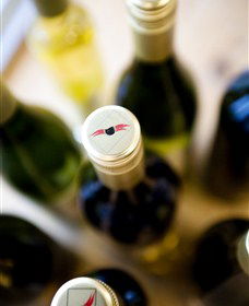 Charles Sturt University Winery Wagga Wagga - Accommodation Bookings 2