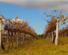 Charles Sturt University Winery Wagga Wagga - Accommodation Bookings 3