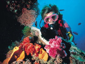 Great Barrier Reef - Whitsundays - Accommodation Bookings 1