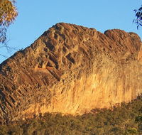Kaputar scenic drive - Accommodation Bookings