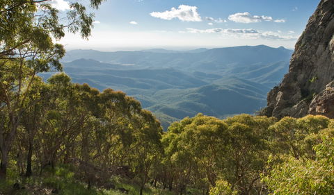 Kaputar Scenic Drive - Accommodation Bookings 1
