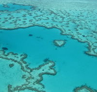 Heart Reef - Accommodation Bookings