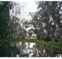 Henty Government Dam Nature Reserve - Accommodation Bookings