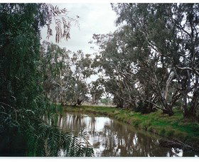 Henty Government Dam Nature Reserve - Accommodation Bookings 0