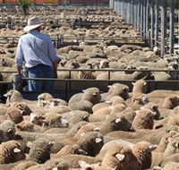 Livestock Marketing Centre