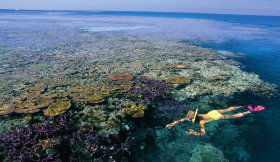 Hardy Reef - Accommodation Bookings 1