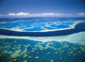 Hardy Reef - Accommodation Bookings 0