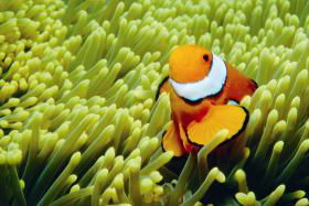 Hardy Reef - Accommodation Bookings 3