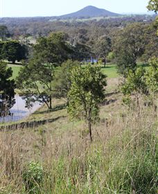Mt Piper Nature Conservation Reserve - Accommodation Bookings 1