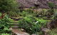 Burrendong Botanic Garden And Arboretum - thumb 0