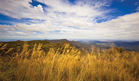 Mount Kaputar Summit Walk - Accommodation Bookings 1