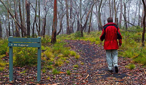 Mount Kaputar Summit Walk - Accommodation Bookings 2
