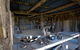 Headlie Taylor Header And Blacksmiths Shop - thumb 2