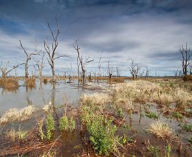 Winton Wetlands Reserve - Accommodation Bookings 4