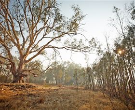 Winton Wetlands Reserve - Accommodation Bookings 2