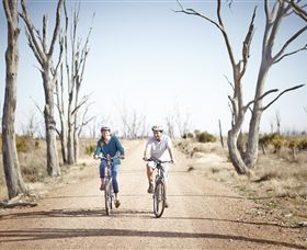 Winton Wetlands Reserve - Accommodation Bookings 6