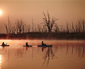 Winton Wetlands Reserve - Accommodation Bookings 7
