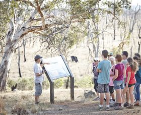 Winton Wetlands Reserve - Accommodation Bookings 5