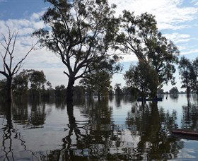 Doodle Cooma Swamp - Accommodation Bookings 1