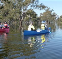 Doodle Cooma Swamp - Accommodation Bookings