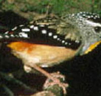 Reef Hills State Park - Accommodation Bookings