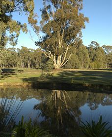 Benalla Golf Club - Accommodation Bookings 5