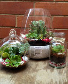 Blooms On Bridge - Accommodation Bookings 6