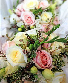 Blooms On Bridge - Accommodation Bookings 7