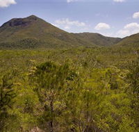 Kutini-Payamu Iron Range National Park CYPAL - Accommodation Bookings