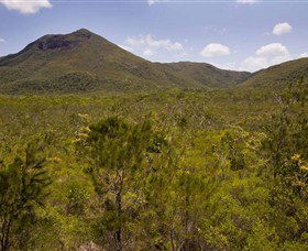 Kutini-Payamu (Iron Range) National Park (CYPAL) - Accommodation Bookings 0